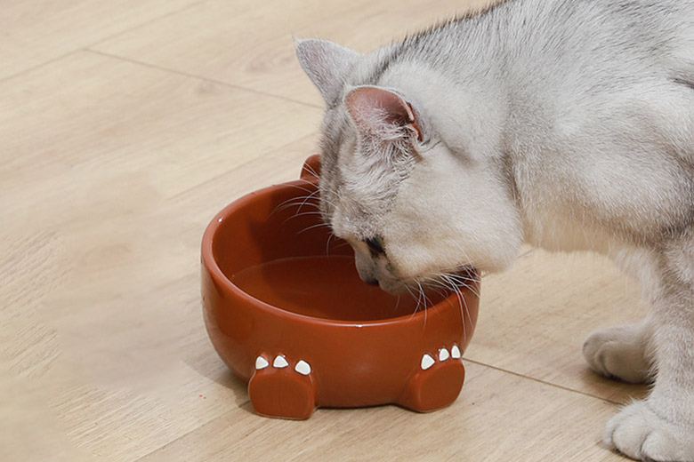 ZezeLife Monster & Dinosaur Ceramic Cat Bowl, view 5