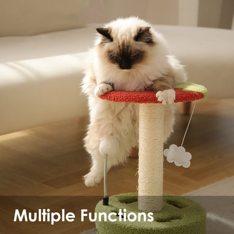 ZezeLife Cute Multi-function Cat Scratching Post, view 6