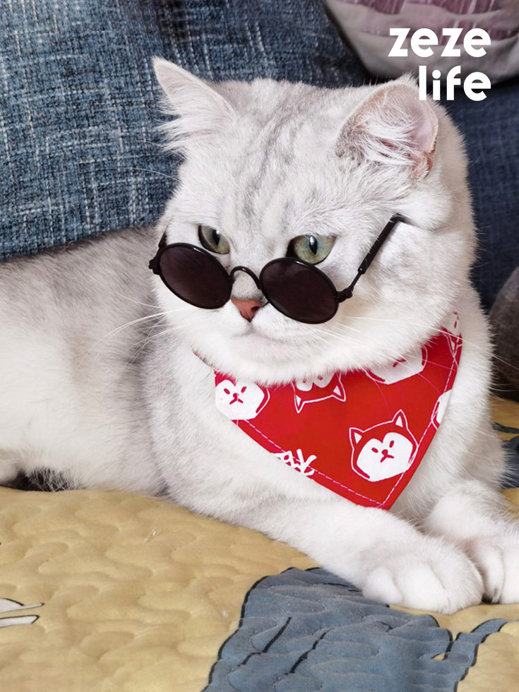 ZezeLife Multicolor Cat Sunglasses, view 2