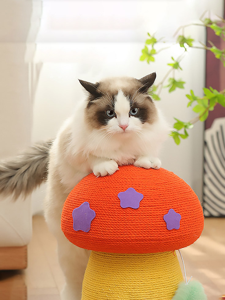 ZezeLife Mushroom Cat Scratching Post, view 4