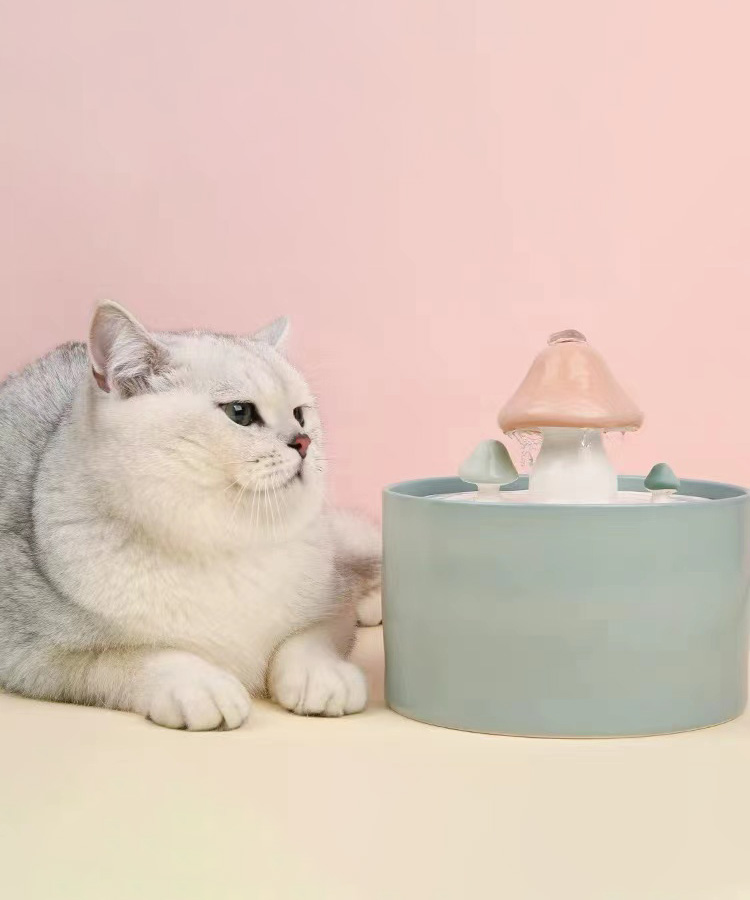 ZezeLife Mushroom Cat Water Fountain, view 5