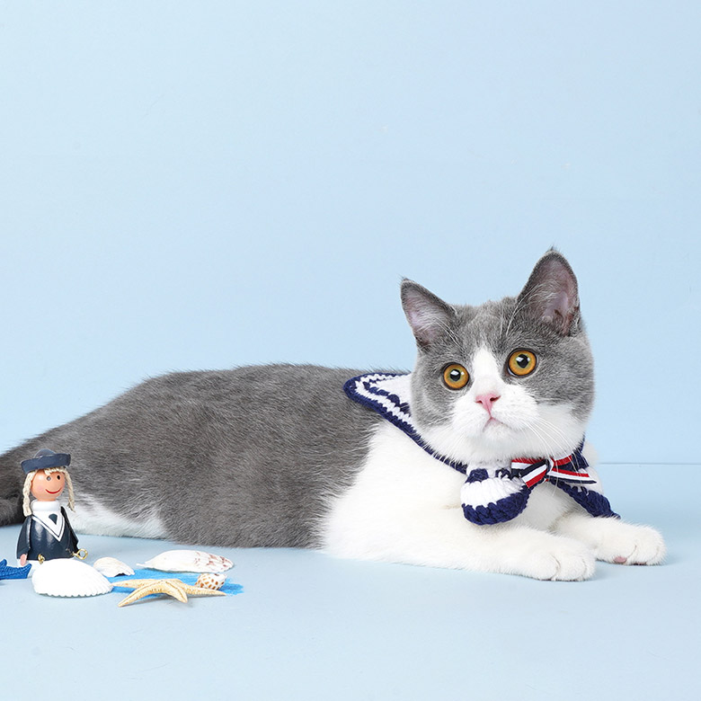 ZezeLife Navy Cat Collar, view 5