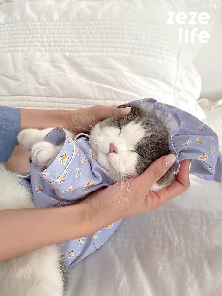 ZezeLife Nightgown Cat Clothes