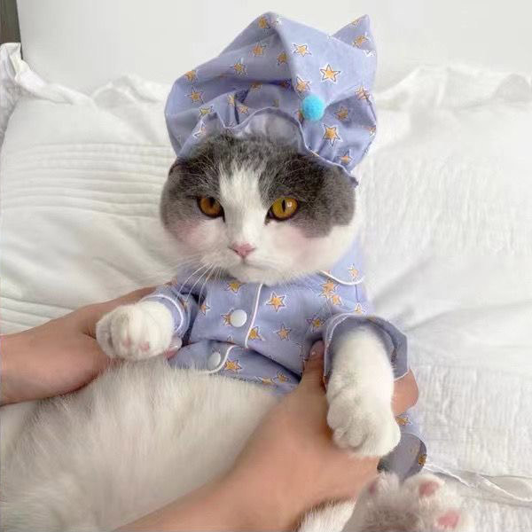 ZezeLife Nightgown Cat Clothes, view 6