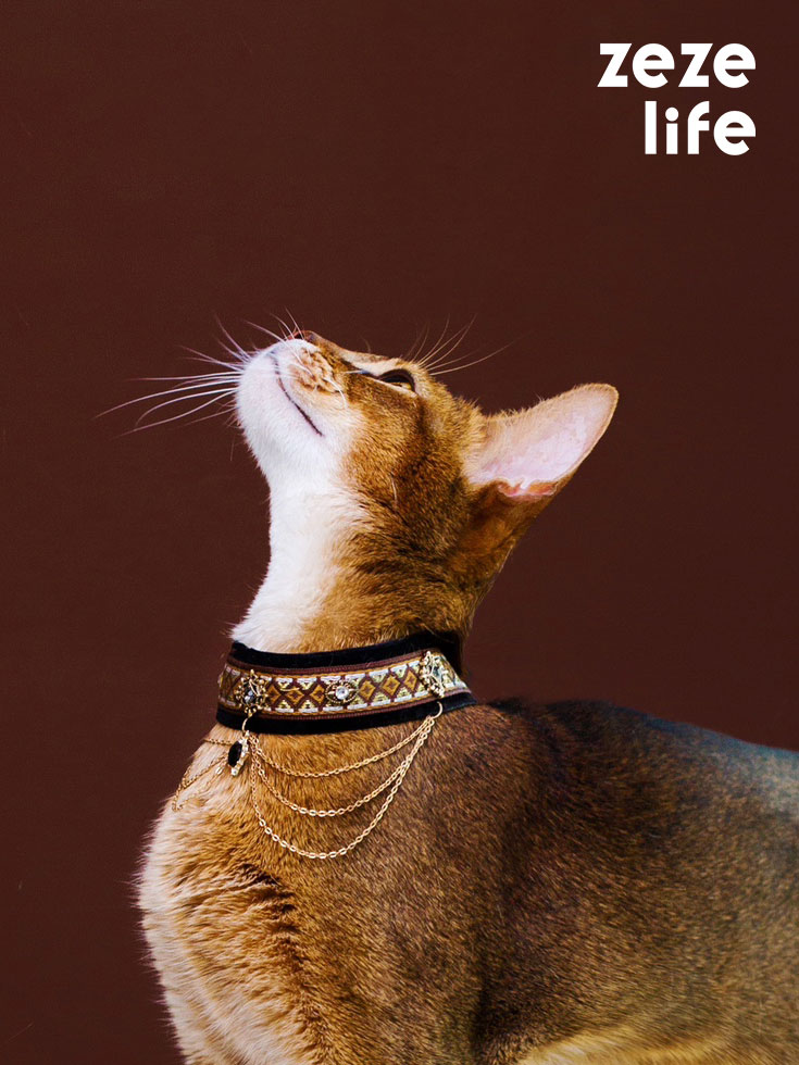 ZezeLife Noble Velvet Black Cat Collar, view 2