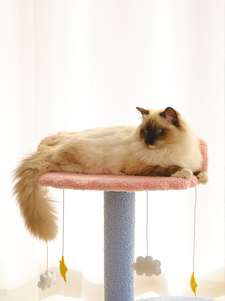 ZezeLife Marine Life Cat Tree, view 6