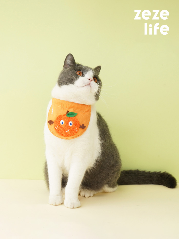 ZezeLife Orange Cat Bandana