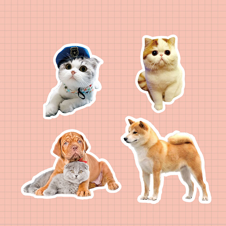 ZezeLife Pet Custom Portrait Sticker Bundle, view 5
