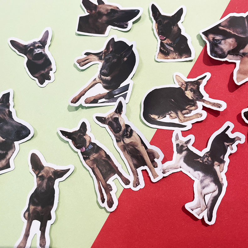 ZezeLife Pet Custom Portrait Sticker Bundle, view 6