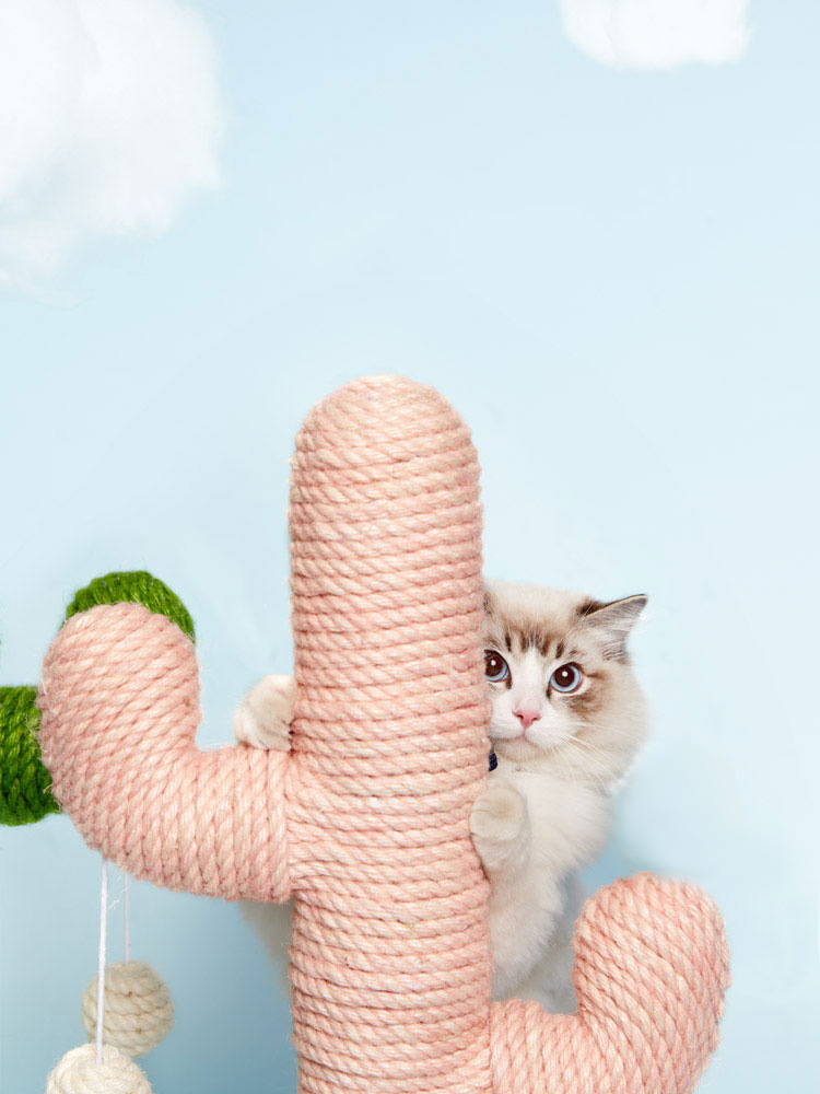ZezeLife Pink Cactus Cat Scratching Post, view 6