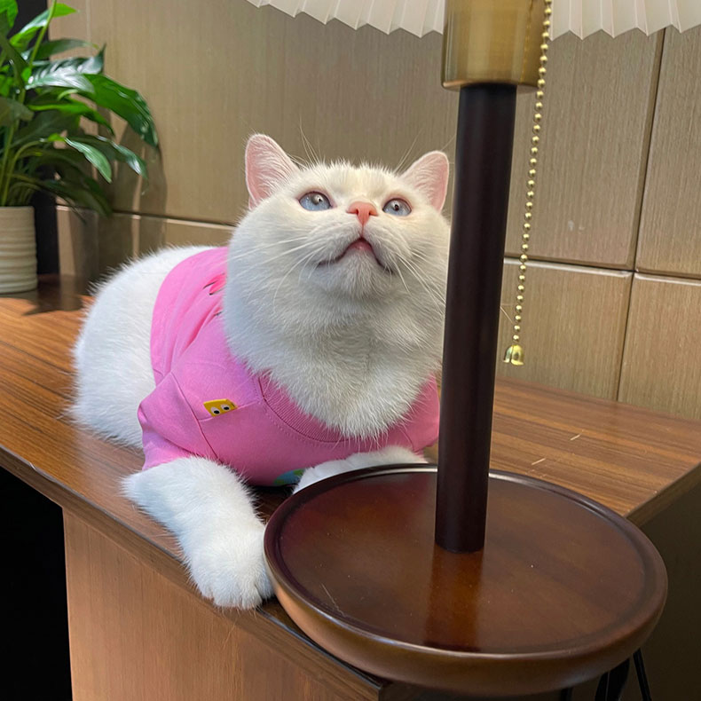 ZezeLife Pink Cartoon Cat Clothes, view 3