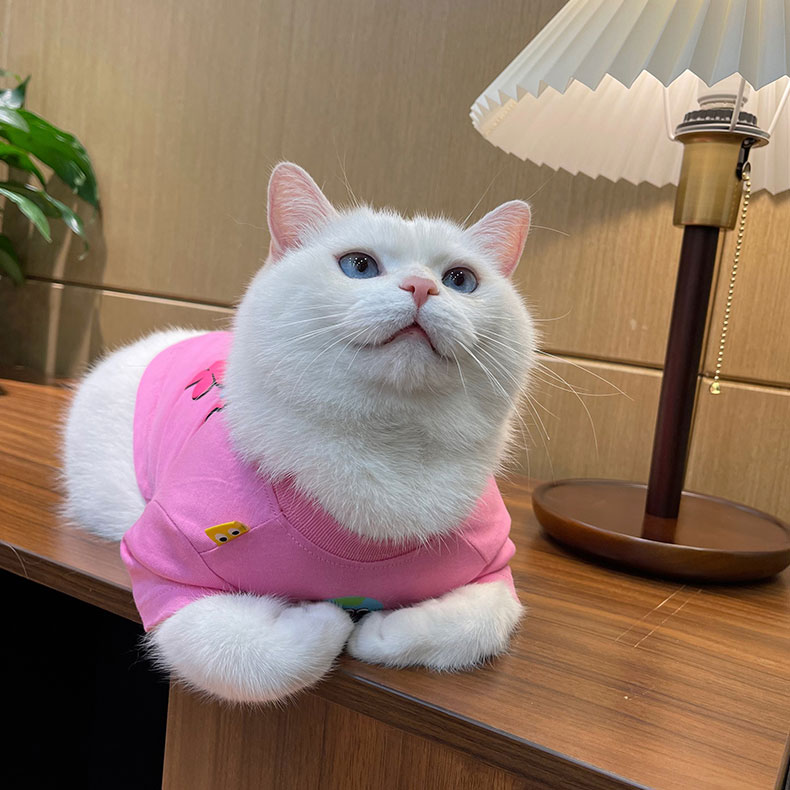 ZezeLife Pink Cartoon Cat Clothes, view 5