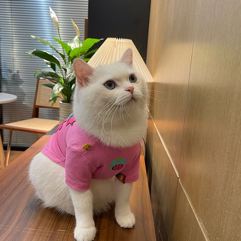 ZezeLife Pink Cartoon Cat Clothes, view 6