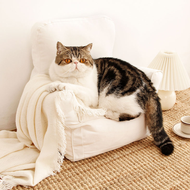 ZezeLife Plaid Cat Sofa, view 4