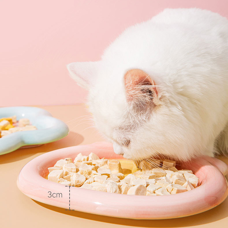 ZezeLife Plate Ceramic Cat Bowl, view 3