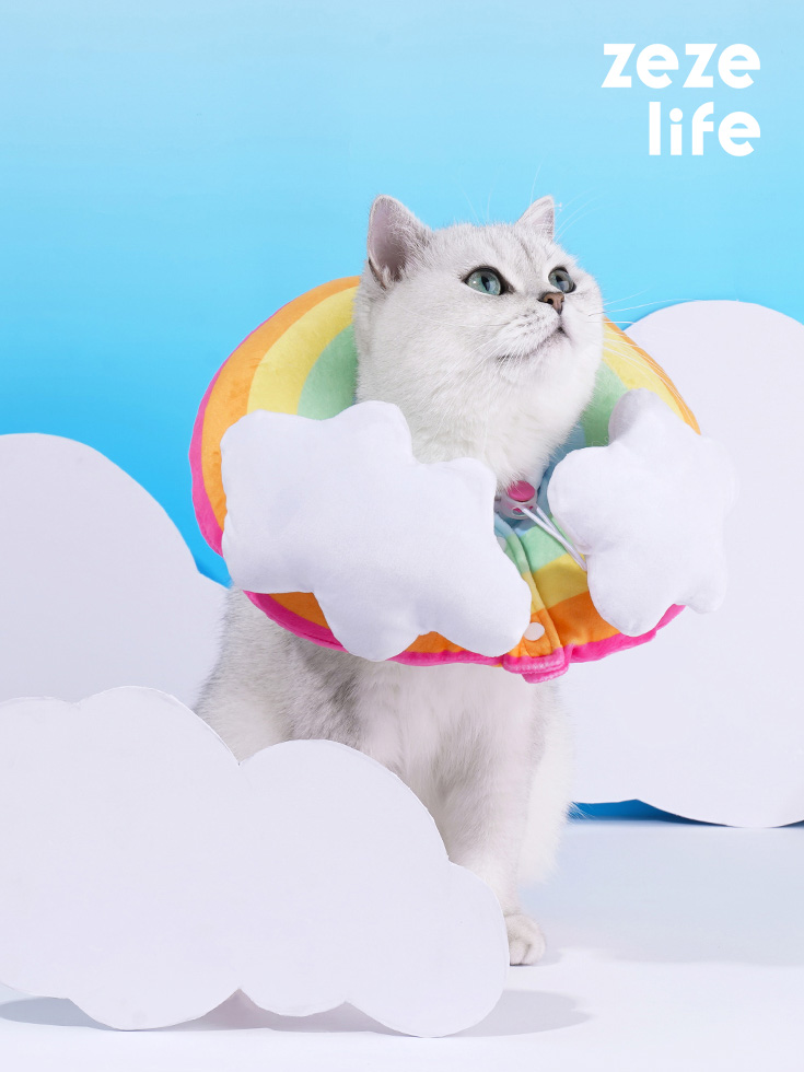 ZezeLife Rainbow Cat Cone