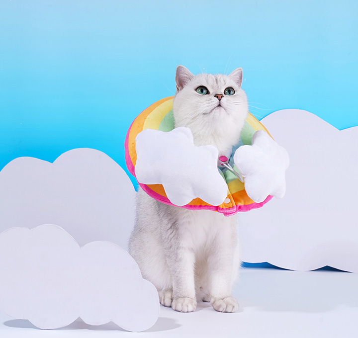ZezeLife Rainbow Cat Cone, view 4