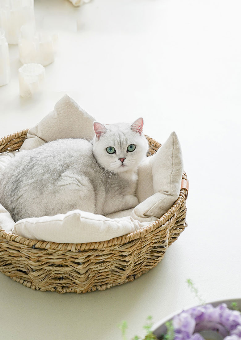ZezeLife Woven Rattan Cat Bed, view 5