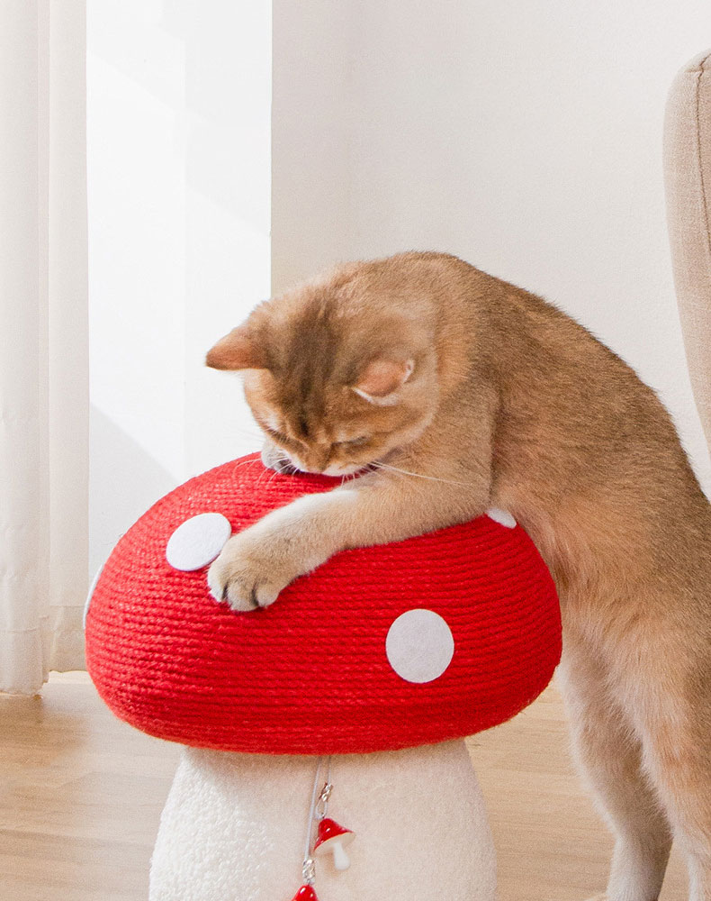ZezeLife Red Mushroom Cat Scratcher, view 3