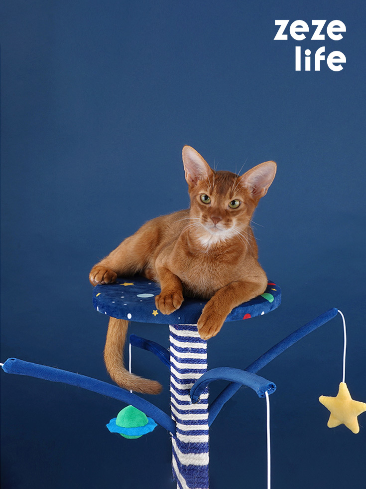 ZezeLife Starry Sky Cat Scratching Post, view 2