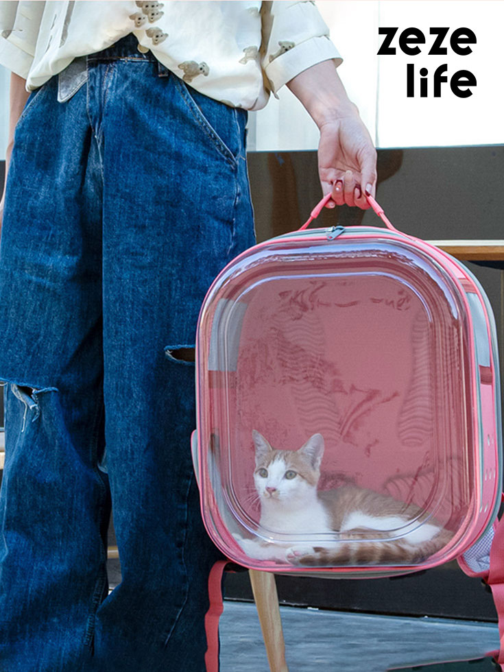 ZezeLife Square Clear Cat Carrier