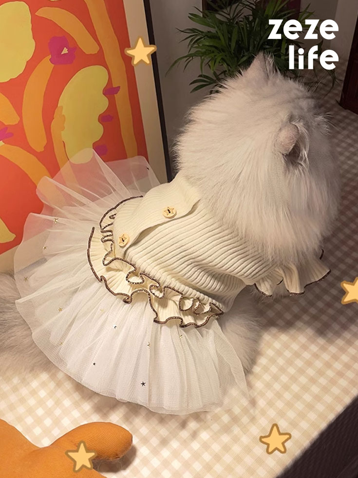 ZezeLife Star Lace Chiffon Cat Dress