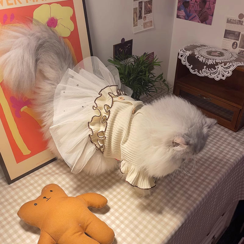 ZezeLife Star Lace Chiffon Cat Dress, view 5
