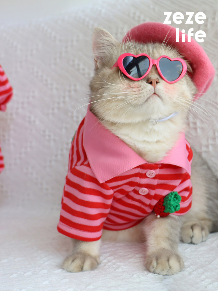 ZezeLife Strawberry Striped Shirt Cat Clothes