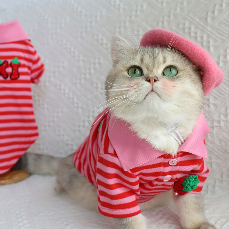 ZezeLife Strawberry Striped Shirt Cat Clothes, view 3