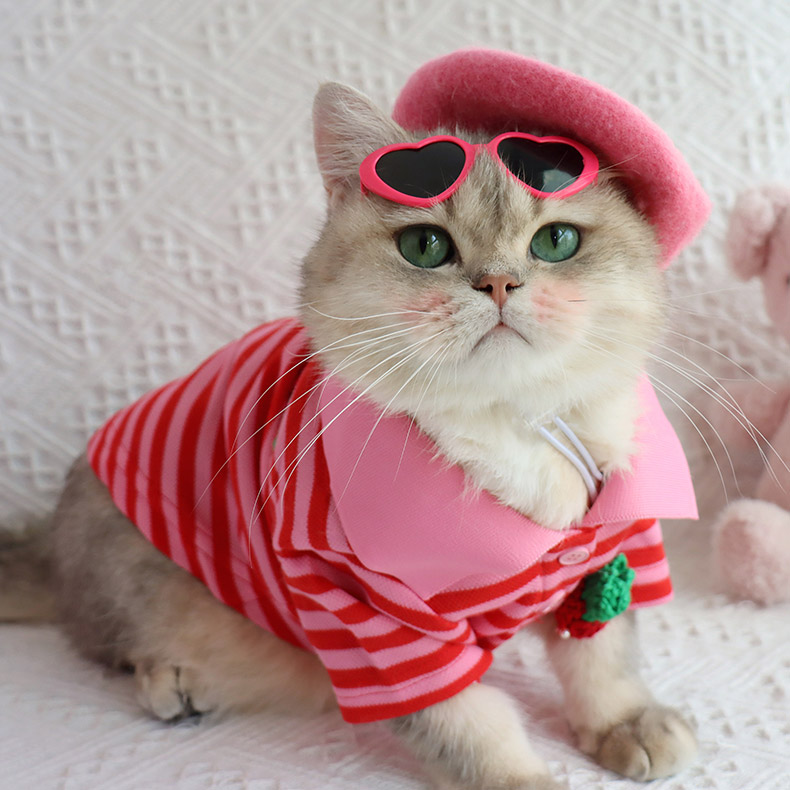 ZezeLife Strawberry Striped Shirt Cat Clothes, view 4