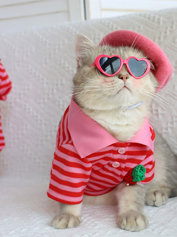 ZezeLife Strawberry Striped Shirt Cat Clothes, view 5