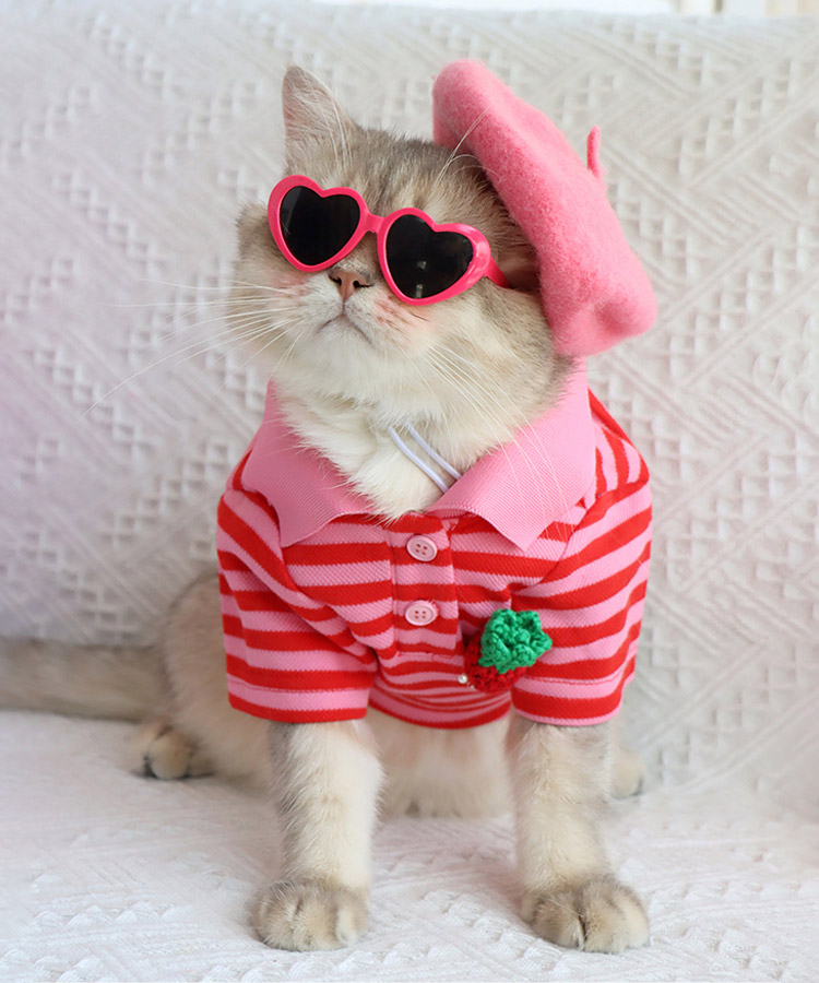 ZezeLife Strawberry Striped Shirt Cat Clothes, view 6
