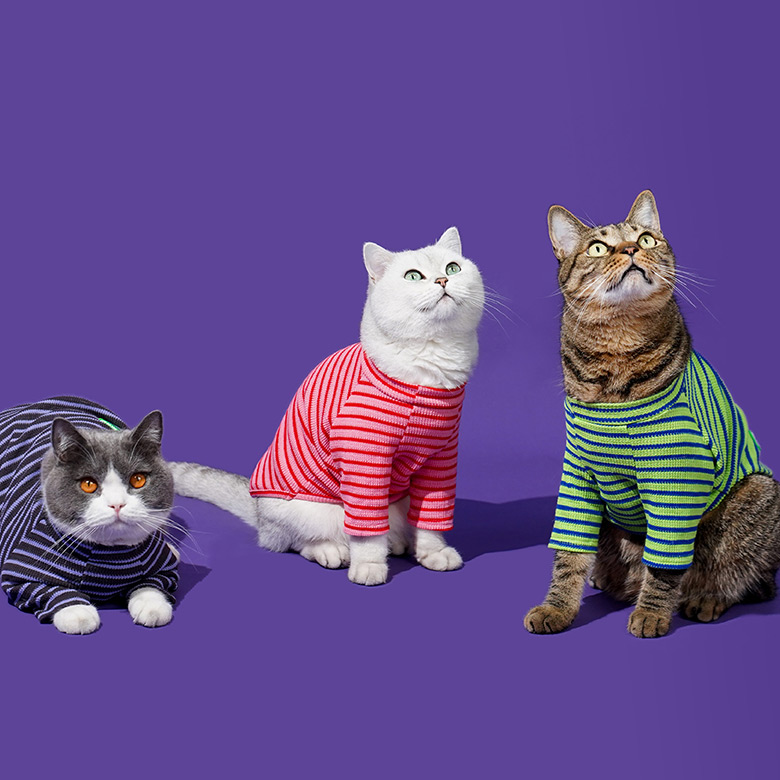 ZezeLife Striped Shirt Cat Clothes, view 3