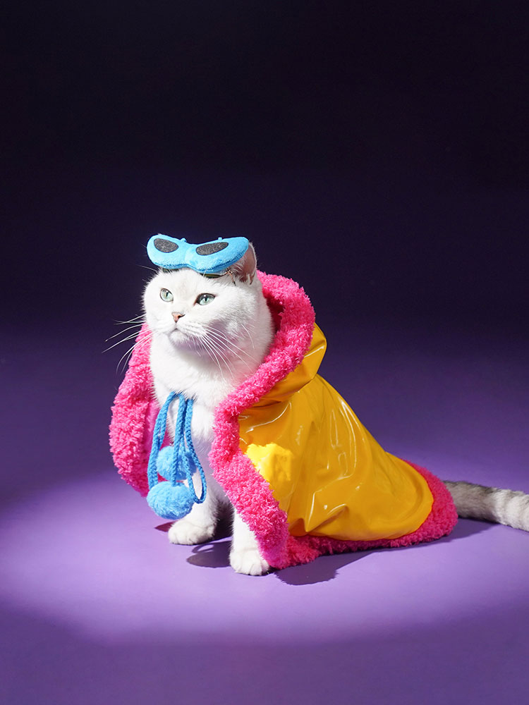ZezeLife Superstar Cat Capes, view 3