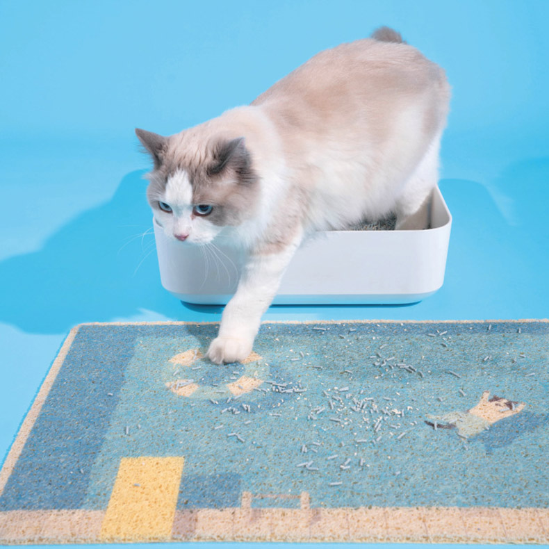 ZezeLife Swimming Pool Cat Litter Mat, view 3