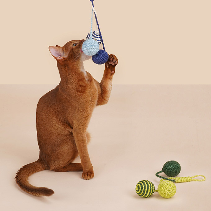 ZezeLife Tricolor Ball Sisal Rope Cat Toy, view 5