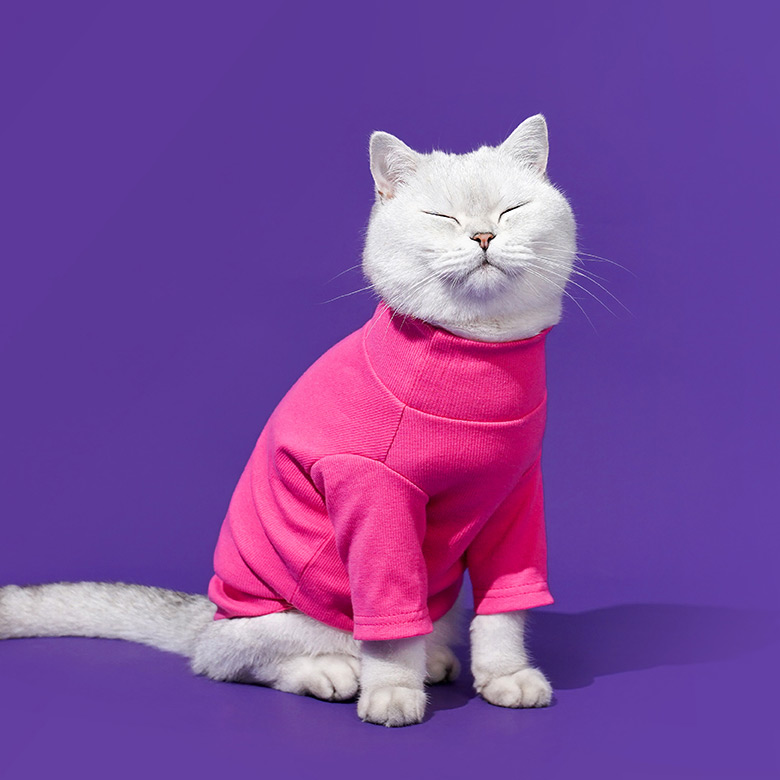 ZezeLife Turtleneck Cat Clothes, view 3