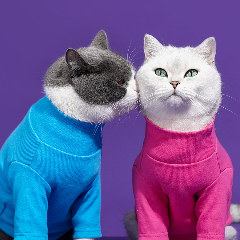 ZezeLife Turtleneck Cat Clothes, view 4