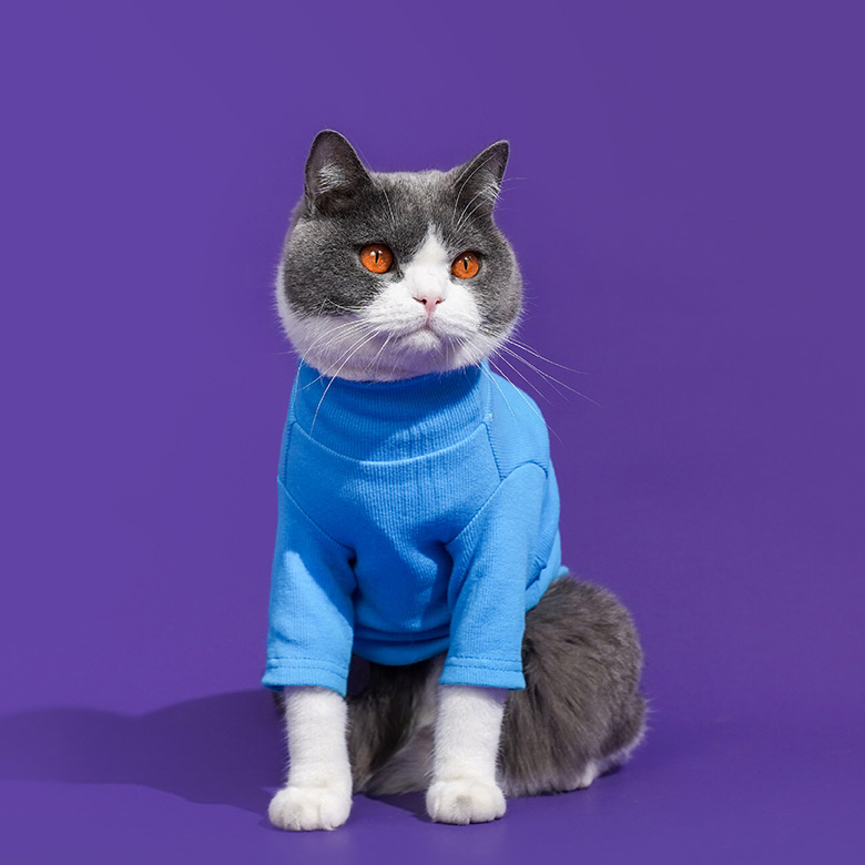 ZezeLife Turtleneck Cat Clothes, view 5