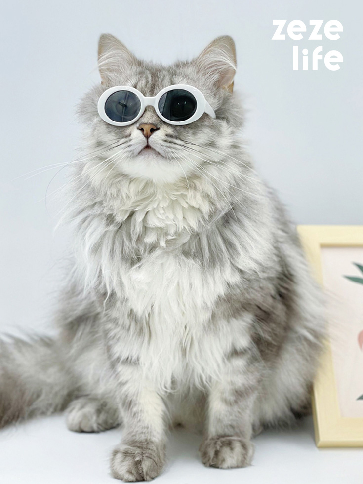 ZezeLife Vintage Cat Sunglasses, view 2