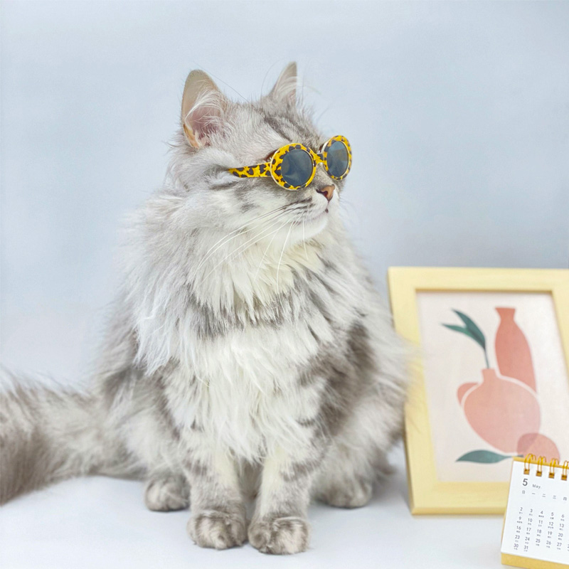 ZezeLife Vintage Cat Sunglasses, view 4