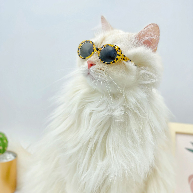 ZezeLife Vintage Cat Sunglasses, view 5