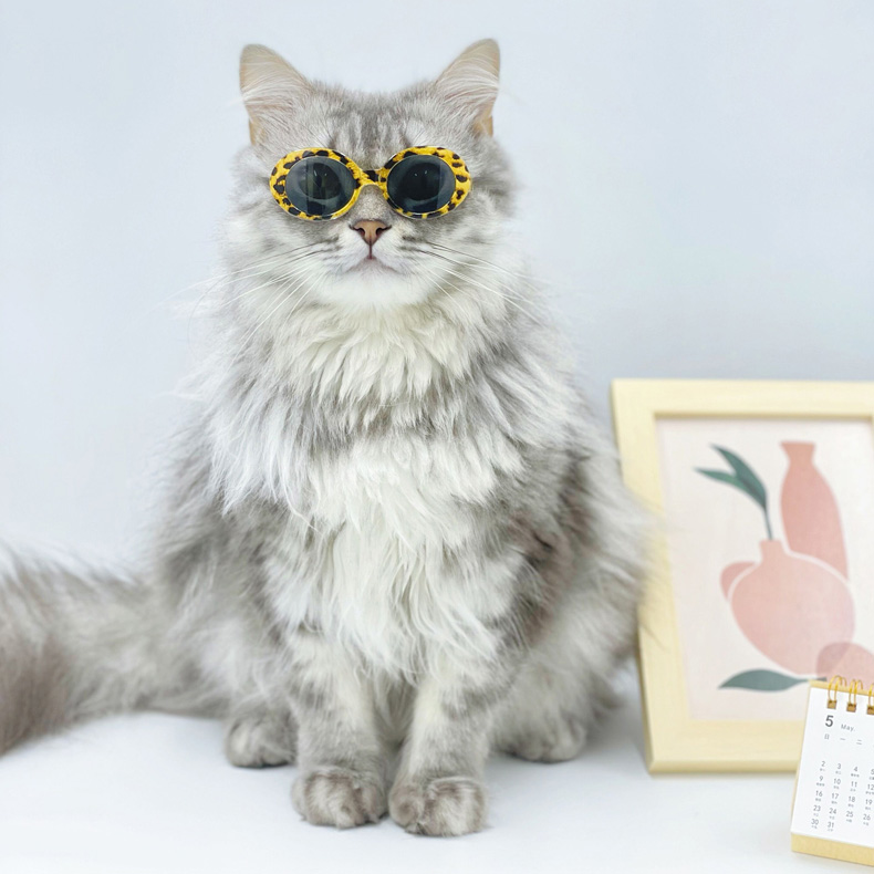 ZezeLife Vintage Cat Sunglasses, view 6