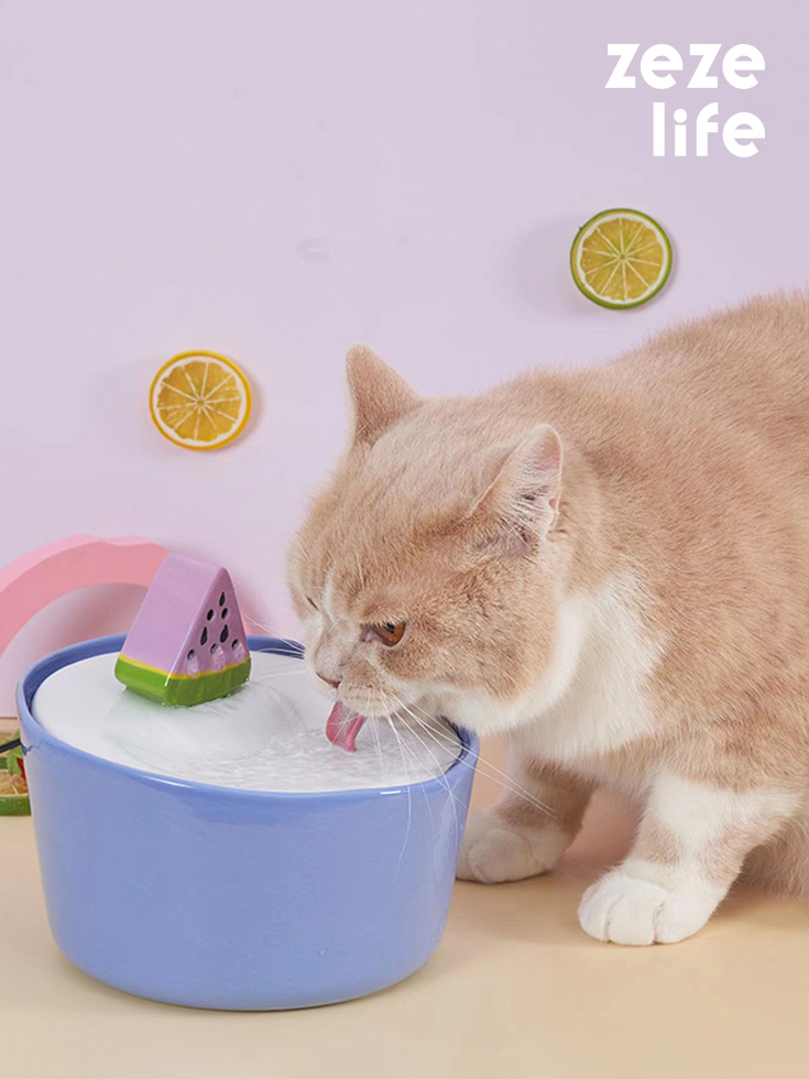ZezeLife Watermelon Cat Water Fountain