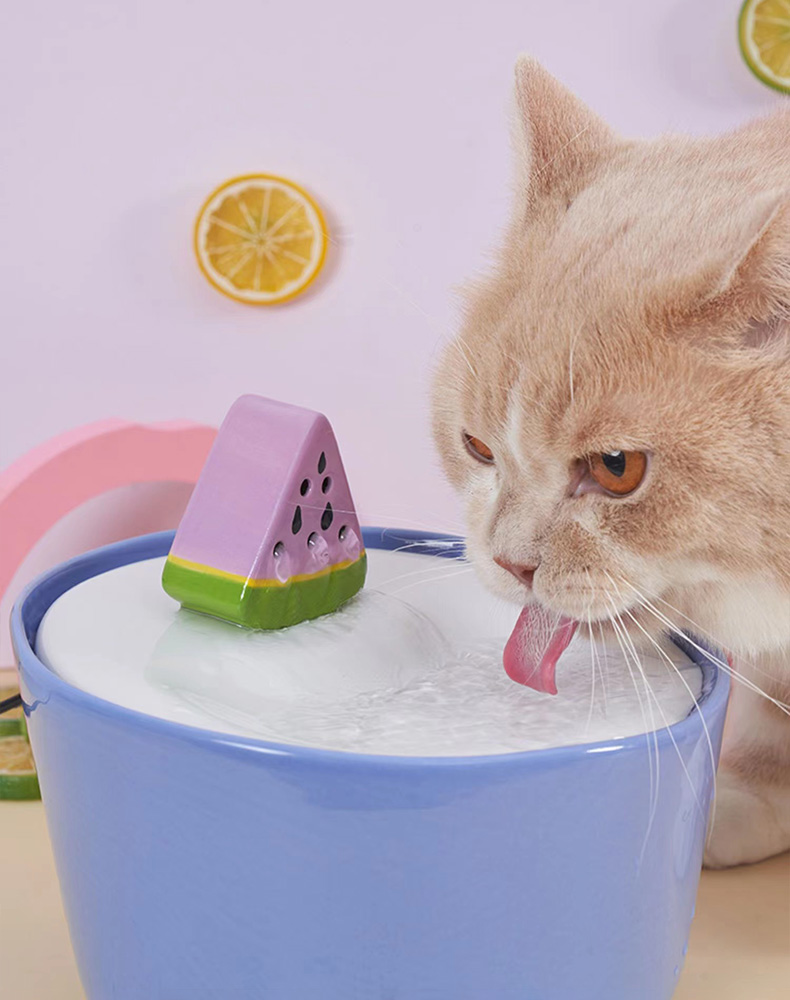 ZezeLife Watermelon Cat Water Fountain, view 3