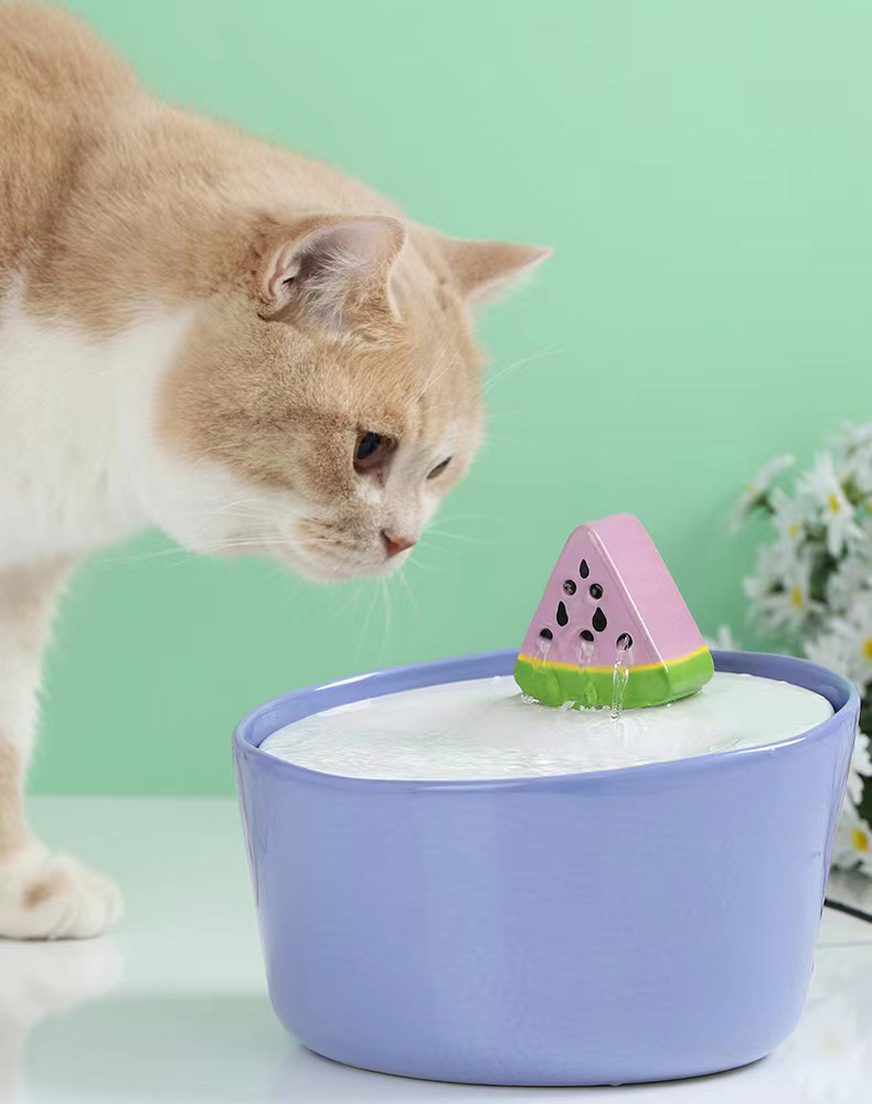 ZezeLife Watermelon Cat Water Fountain, view 4