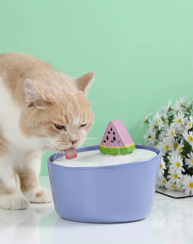 ZezeLife Watermelon Cat Water Fountain, view 5