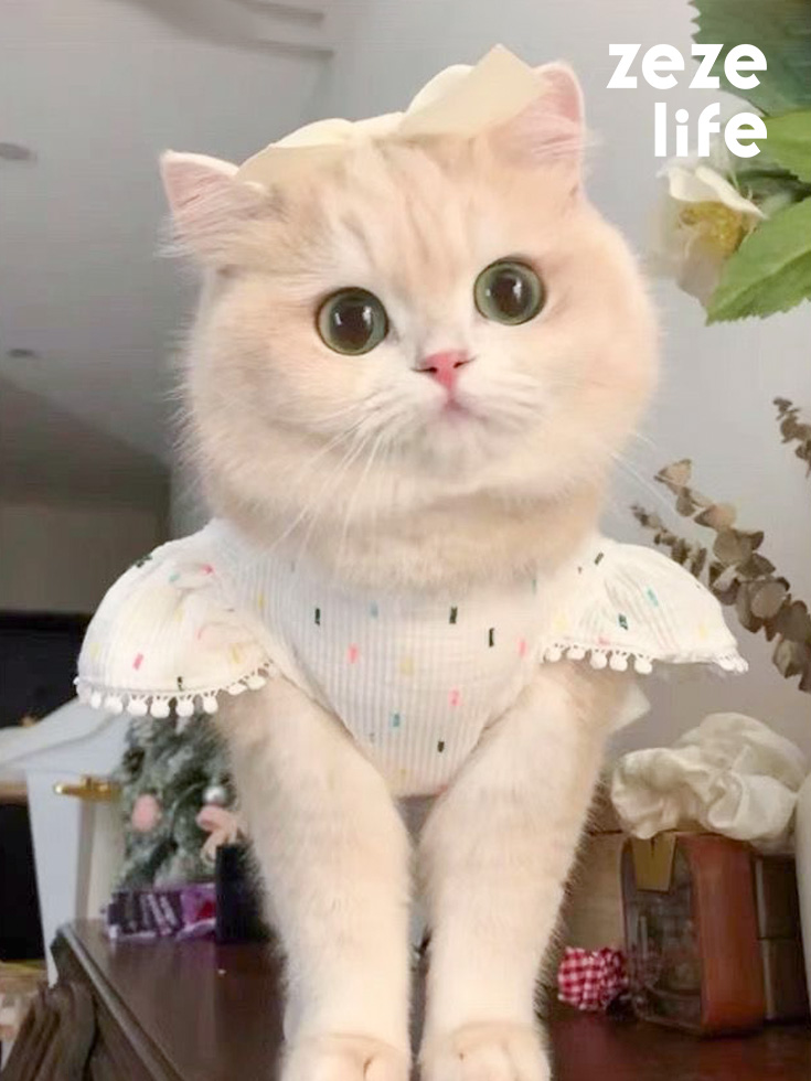 ZezeLife White Dress Cat Clothes