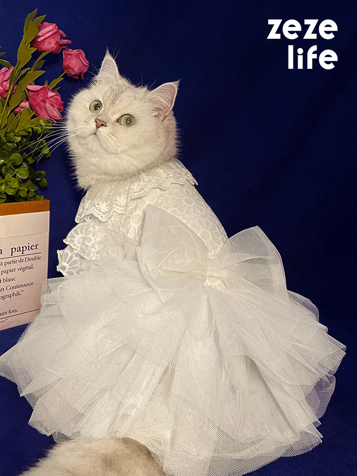 ZezeLife White Embroidered Princess-style Wedding Cat Dress