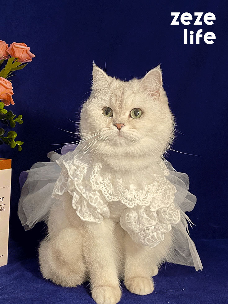 ZezeLife White Embroidered Princess-style Wedding Cat Dress, view 2